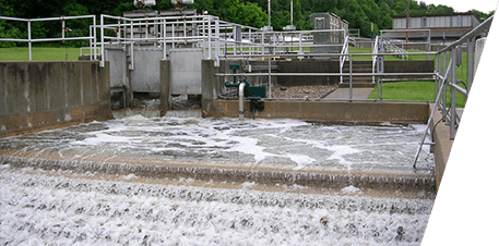 Wetlands Remediation